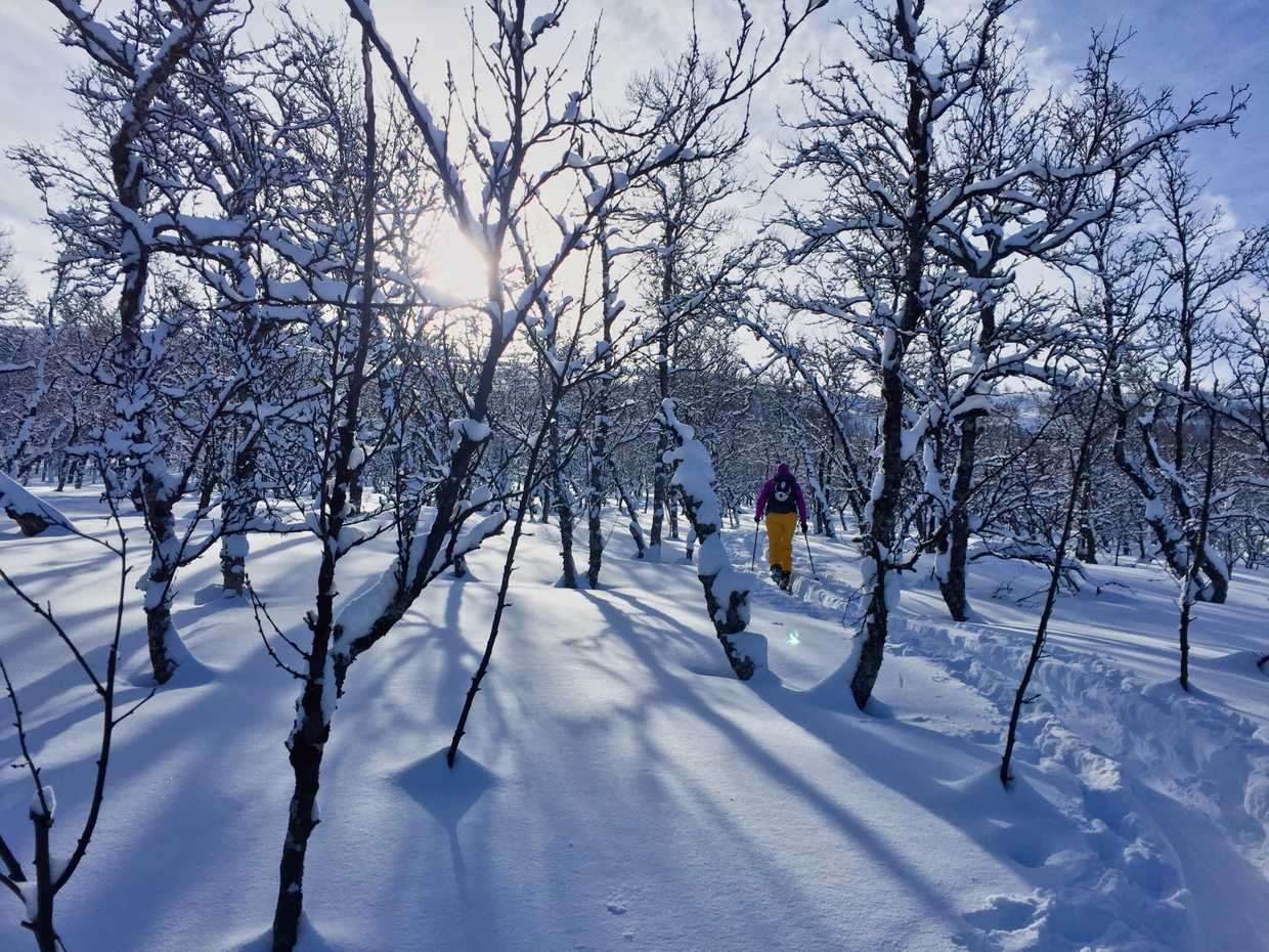 5  Popular Ski Tours in Hemsedal cover image